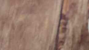 Tempura de berenjenas