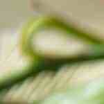 barritas energéticas de chocolate y frutos secos