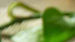 barritas energéticas de chocolate y frutos secos