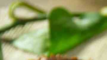 barritas energéticas de chocolate y frutos secos