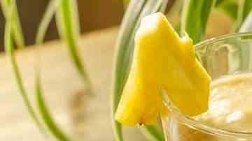 Batidos para el desayuno