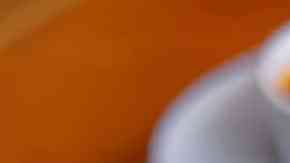 canelones veganos de berenjenas