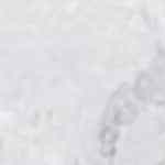 galletas de vainilla veganas