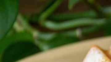 gelatina de arroz con leche y cajeta