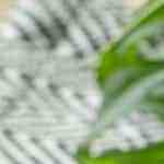 adobos para carnes rojas