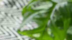 adobos para carnes rojas