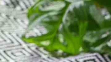 adobos para carnes rojas