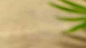 pan tostado con huevo