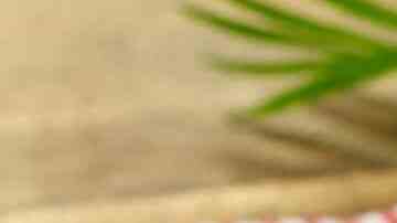 pan tostado con huevo