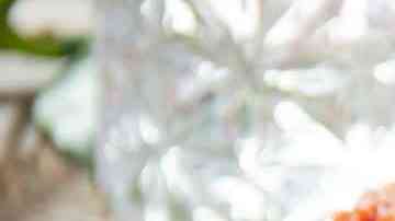 albóndigas en salsa marinara