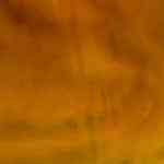 delicioso arroz con azafran