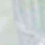 plato de arroz con maiz