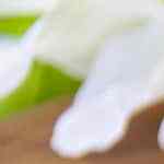 Birria de champiñones