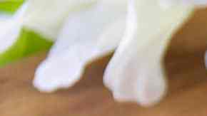 Birria de champiñones