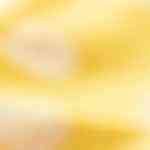 carlota de ron con chocolate