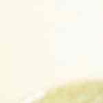 ensalada de salmón con vinagreta de limón