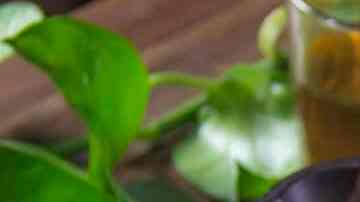 nachos con carne deshebrada