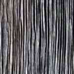 pollo guisado dominicano