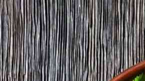 pollo guisado dominicano