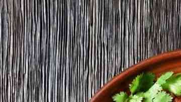 pollo guisado dominicano