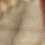 pastel azteca de nopales con carne