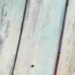 pica pollo dominicano