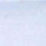 pastelitos de guayaba