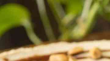 cheesecake de mazapán