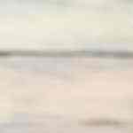 Berenjenas rebozadas