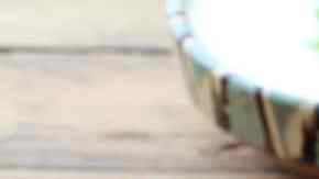 Berenjenas rebozadas