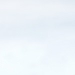 Bizcocho vegano de naranja