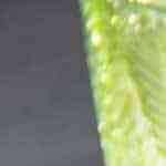 bagels para el desayuno