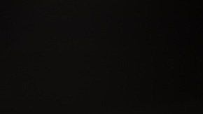 Enchiladas de frijoles