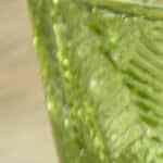 crema de papas y calabacitas