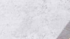 Ragoutde ternera al vino tinto