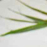 Trenza de hojaldre con pepperoni