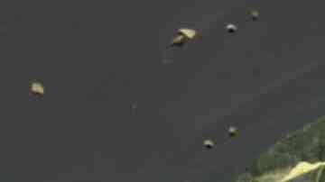 delicioso calabacín salteado con ajo y hierbas