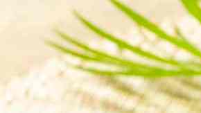 Camarones en salsa de mango con chipotle