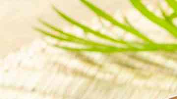 Camarones en salsa de mango con chipotle