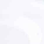 carlota de chocolate