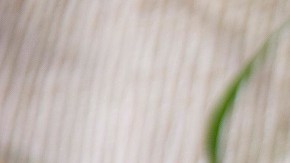 dip de aguacate, huerbabuena y limón