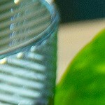 espaguetis con pollo y crema al chipotle