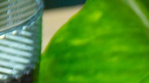 espaguetis con pollo y crema al chipotle