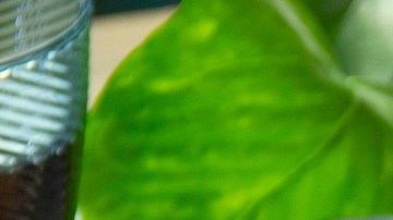 espaguetis con pollo y crema al chipotle