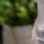 gorditas de queso real sargento