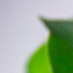 malteada de piña con helado de vainilla