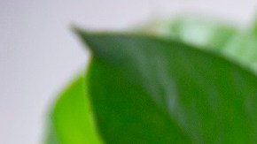 malteada de piña con helado de vainilla