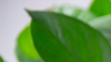 malteada de piña con helado de vainilla