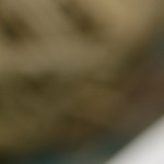 Mont blanc, delicioso postre francés