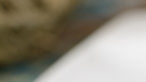 Mont blanc, delicioso postre francés